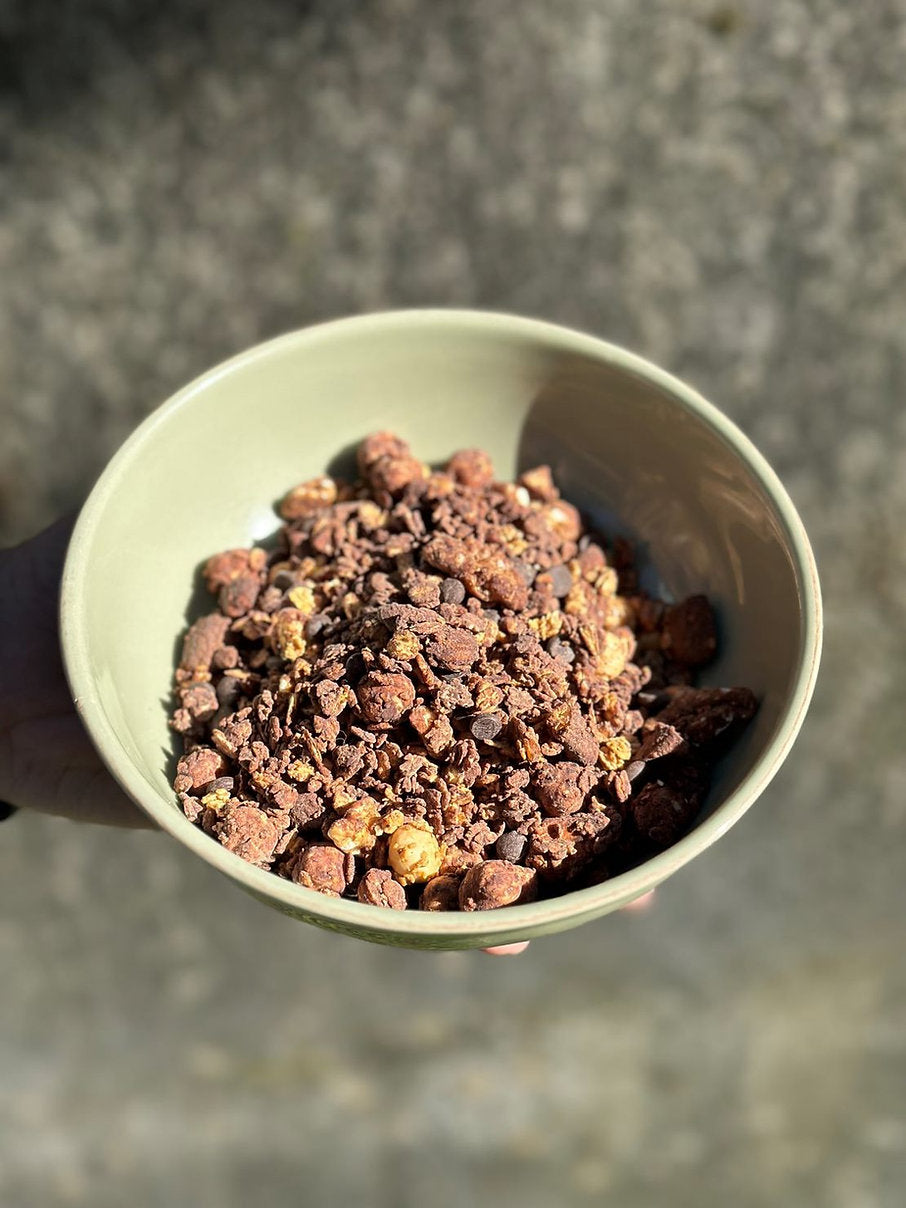 Granola Chocolate 350g