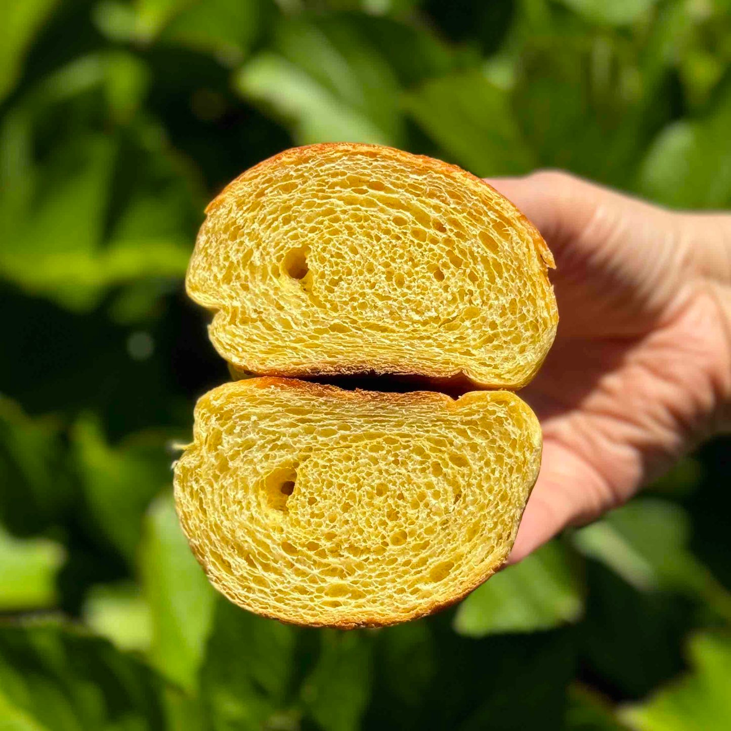 Croissant Brioche