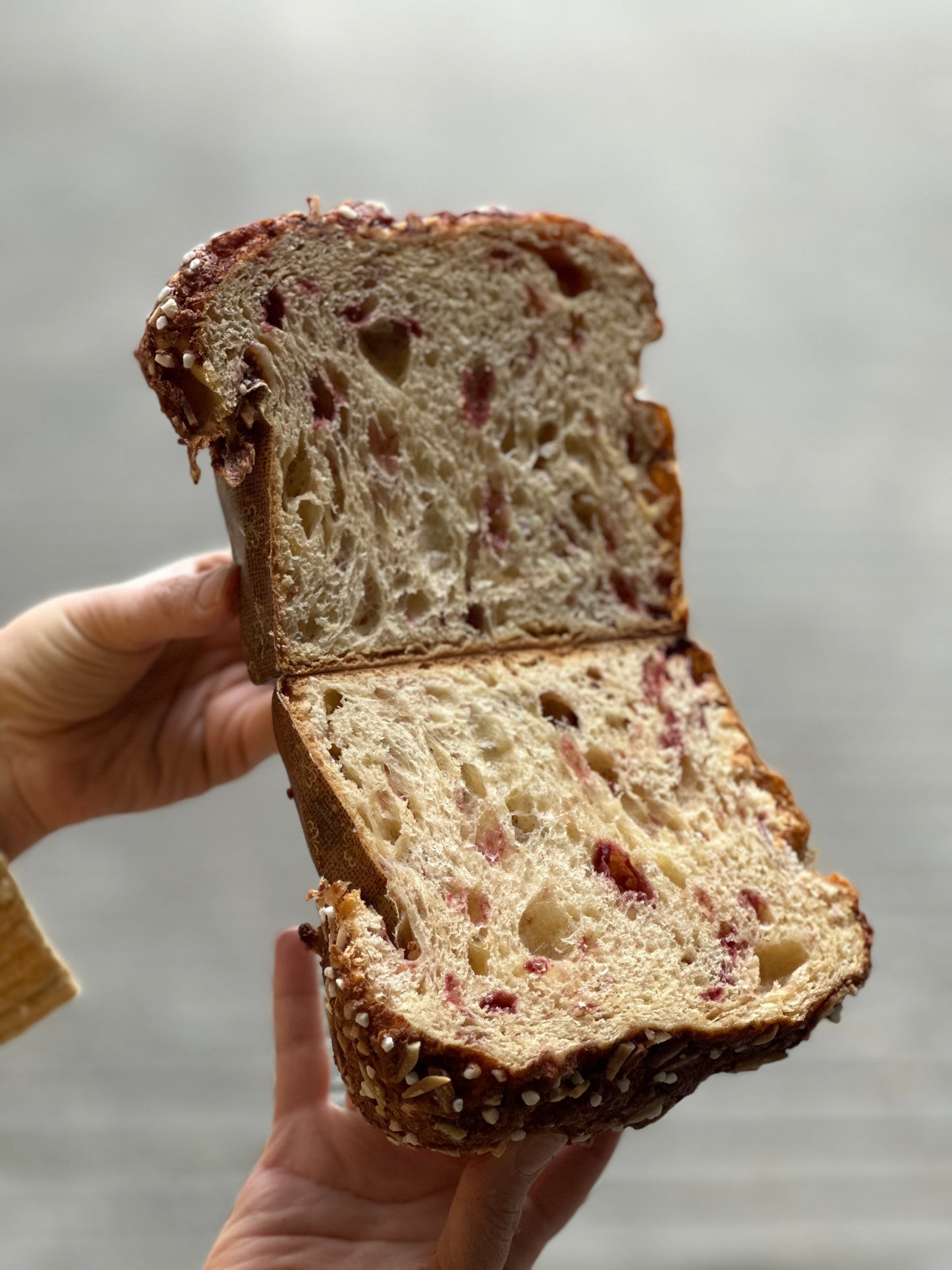 Panetone bb