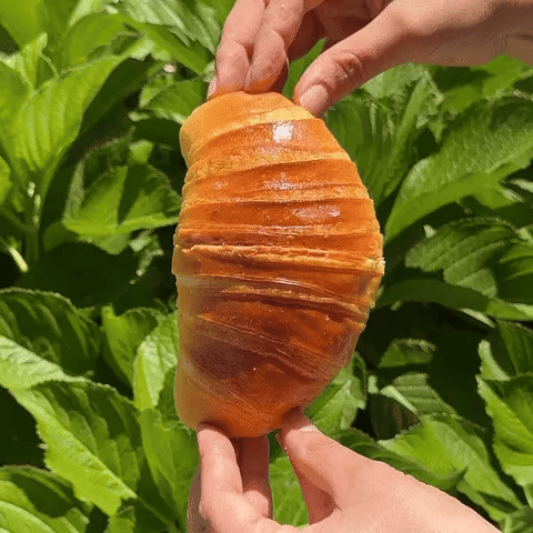 Croissant Brioche