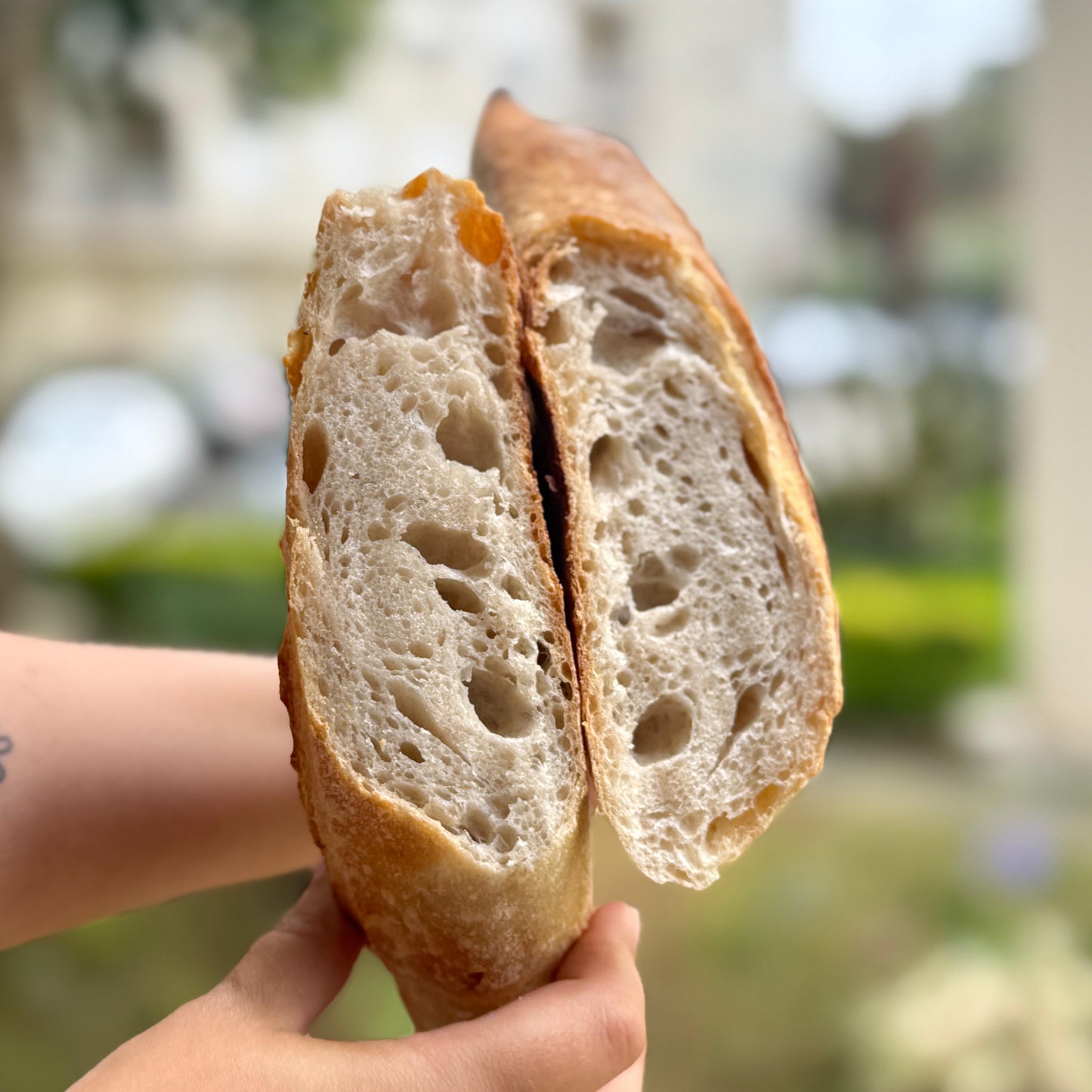 Pão Barra Clássico ou com Sementes | Massa Mãe