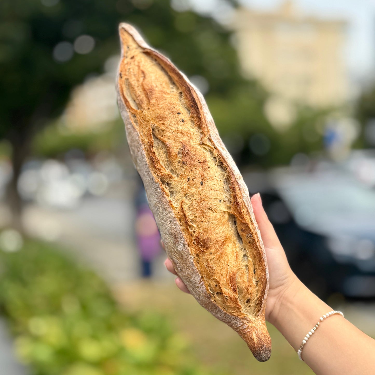 Pão Barra Clássico ou com Sementes | Massa Mãe