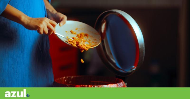 Cada português gasta 350 euros por ano em alimentos que acabam no lixo, alerta Too Good to Go