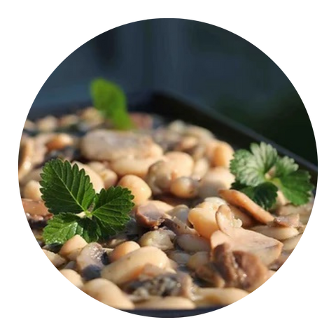 Pré-cozinhados