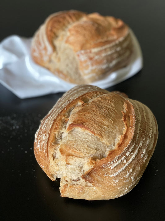 Water Bread | Mother Dough | 480g