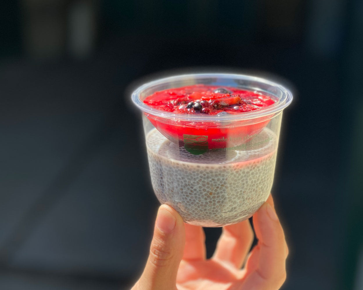 Chia Pudding and Red Fruits