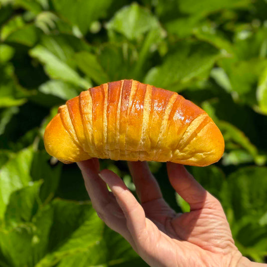 Croissant Brioche