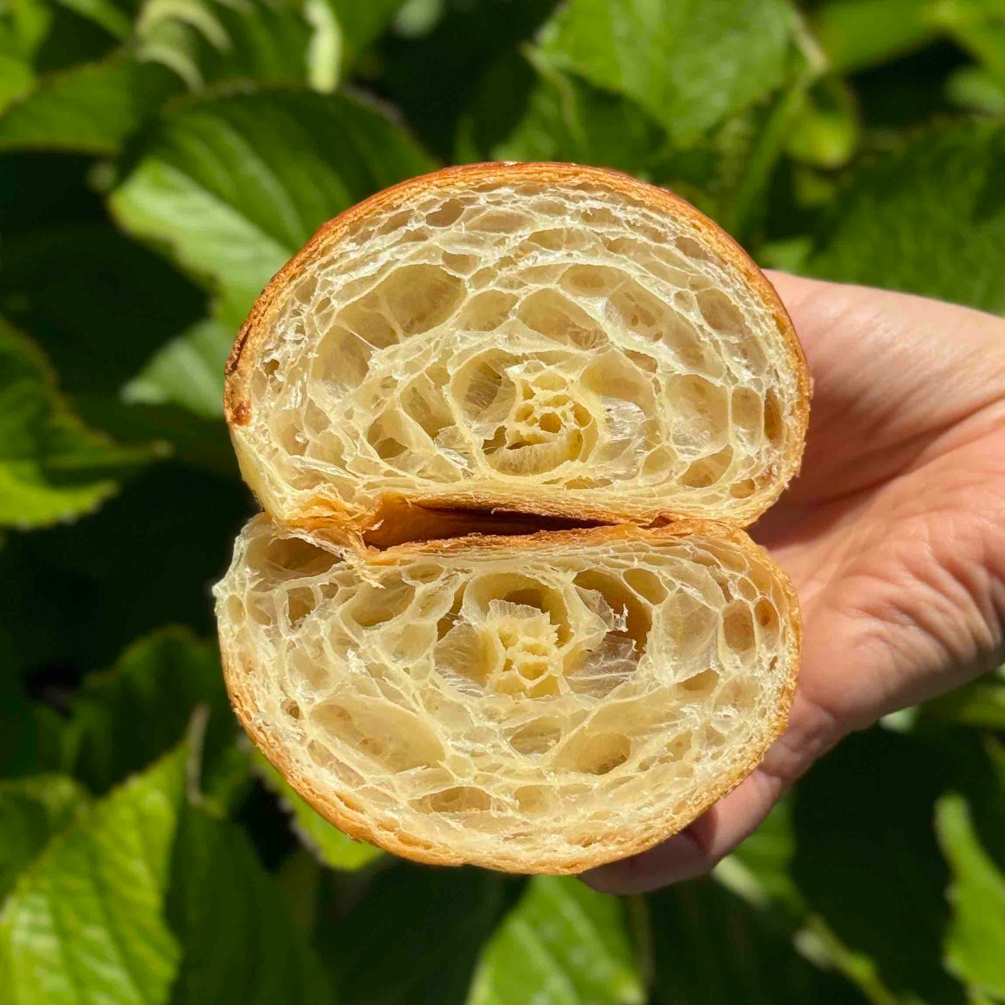 Croissant Folhado