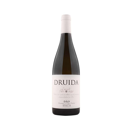 Druida Encruzado | Reserva | 2022