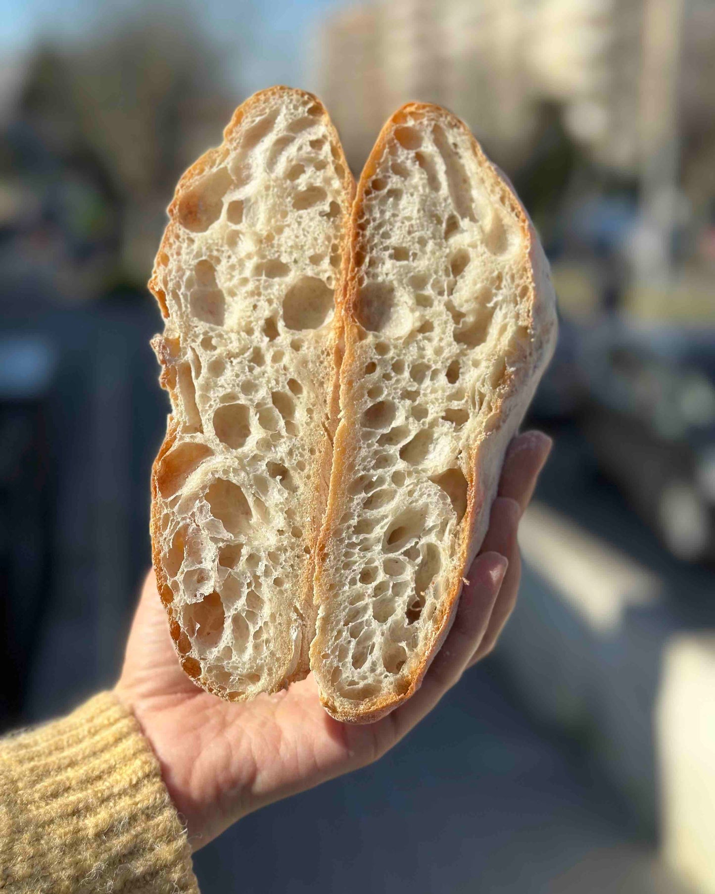 Ciabatta Bread | Mother Dough