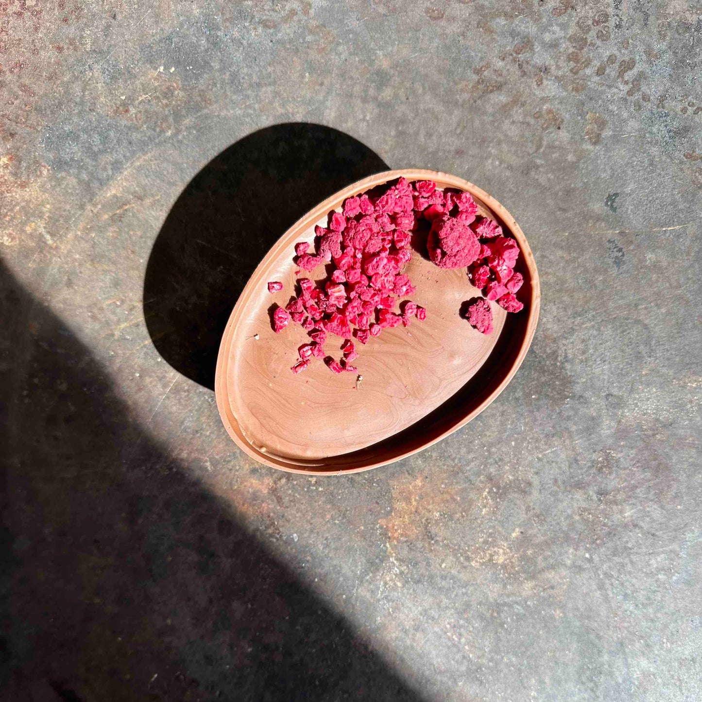 🐰 1/2 Chocolate Egg | Raspberry