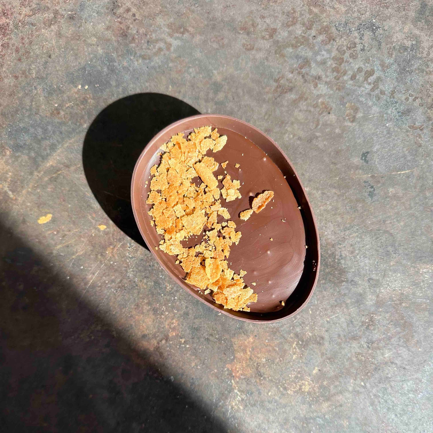 🐰 1/2 Chocolate Egg | Praline