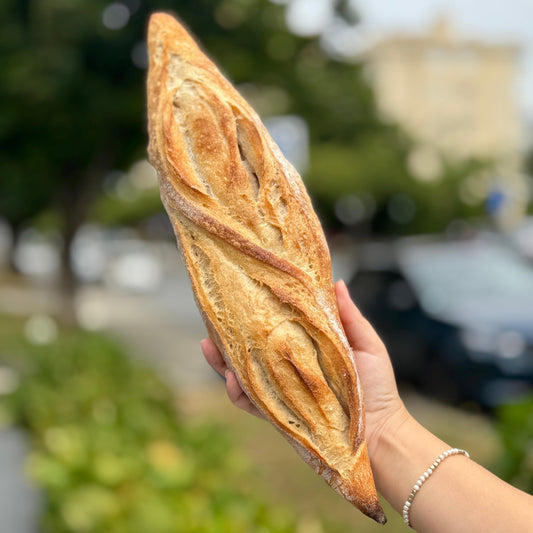 Pão Barra Clássico ou com Sementes | Massa Mãe